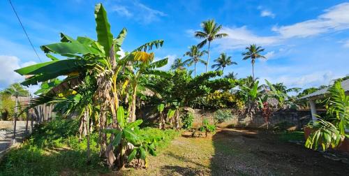 Las Galeras Apartamento | Villa Jardín Tropical