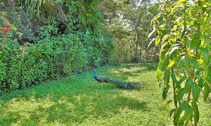 Artemisa Casa | Villa Juanita