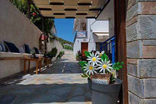 Patitiri Hotel | Villa Konstantinos
