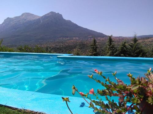 Oliena Casa | Villa L'Oleandro