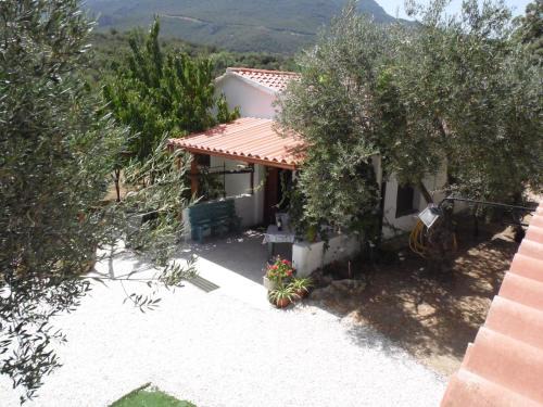 Oliena Casa | Villa L'Oliveto