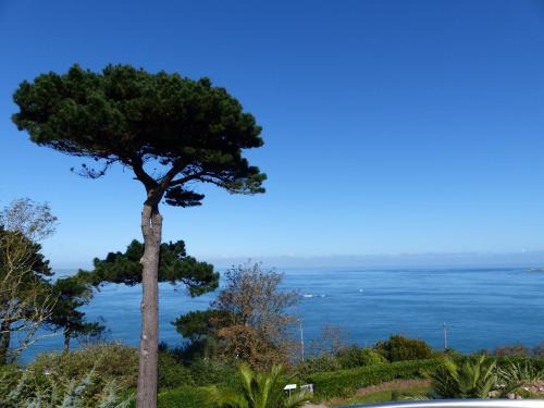 Perros-Guirec Hotel | Villa Les Hydrangéas