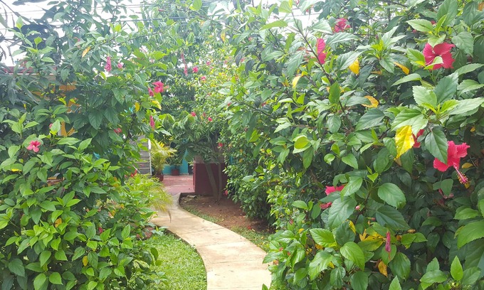 Vinales Casa | Villa Los Reyes