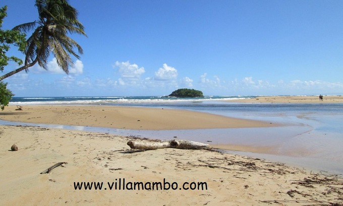 Baoba del Pinar Cabaña | VILLA MAMBO, Casa a solo 2500 m. de la playa Arroyo Salado