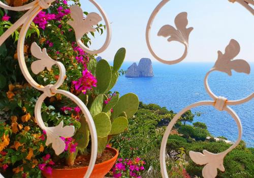 Marina Piccola Casa | VILLA MARINA PICCOLA ai FARAGLIONI