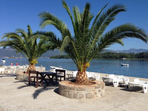 Tivat Apartamento | Villa Milovic, 3 appartements les pieds dans l'eau!
