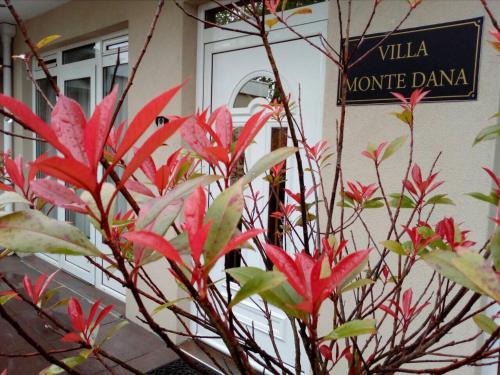 Zwanenburg Apartamento | Villa Monte Dana
