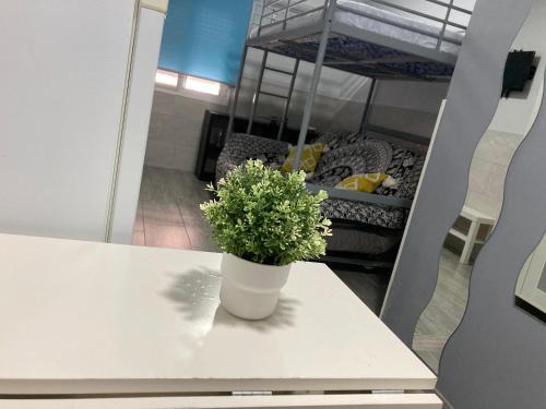 Jerez de la Frontera Apartamento | Villa Mutt