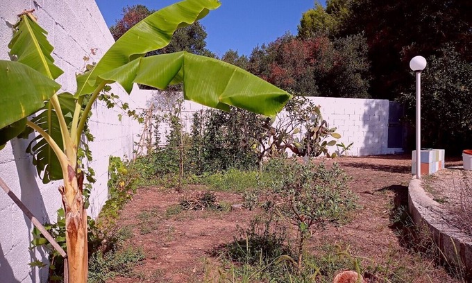 Roca Vecchia Villa | Villa "Oasi" en Roca Vecchia, casa unifamiliar con gran jardín.