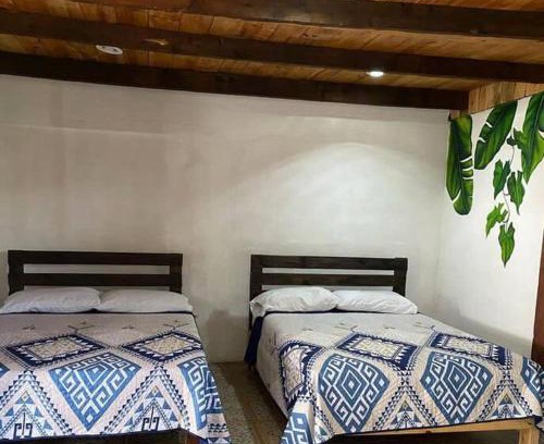 Xilitla Casa | Villa Olaya Completo