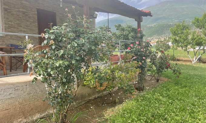 Elassona Casa | Villa Olympus