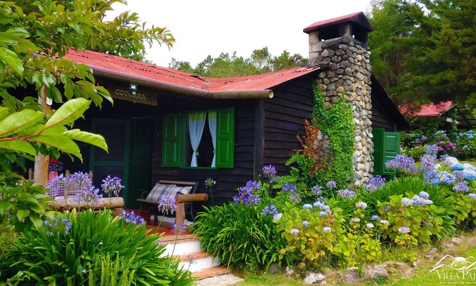 Constanza Cabina | Villa Pajon Eco Lodge