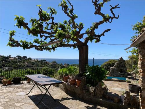 Le Lavandou Villa | Villa Provençale avec vue mer panoramique