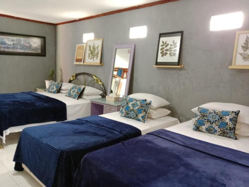 Beji Casa | Villa Puri