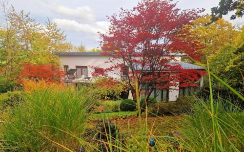 Frankenberg Casa | Villa Ralf