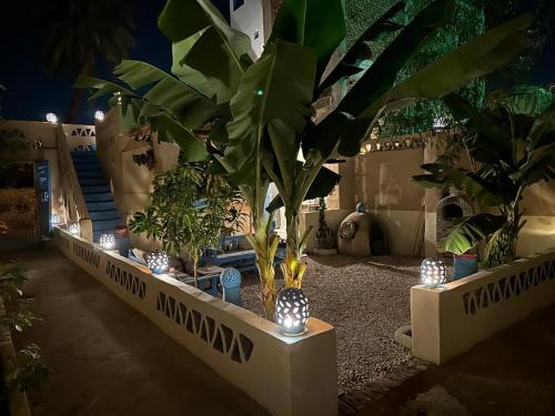 Luxor Casa | Villa Rebecca Professor's paradise