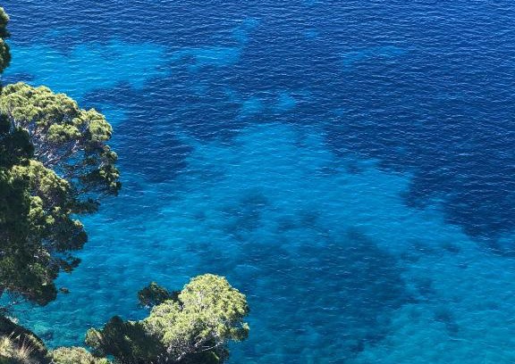 Montecorice Apartamento | Villa Rita Cilento