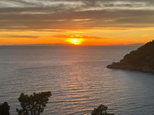 Bonassola Apartamento | VILLA ROSA CON SPLENDIDA VISTA MARE