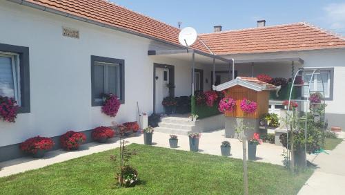 Golubac Apartamento | Villa Ruža