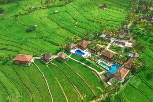 Munduk Cama Y Desayuno | Villa Sande