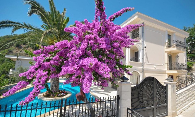 Lucice Villa | Villa St.George
