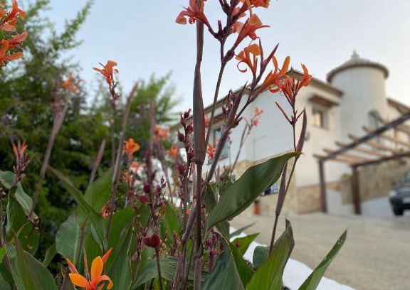 Nerja Casa | Villa Sunshine Countryside Resort