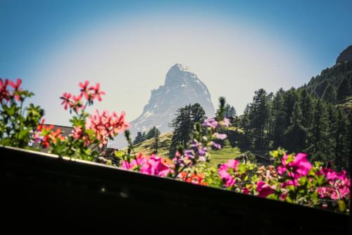 Zermatt Apartamento | Villa Taugwalder I Monte Rosa