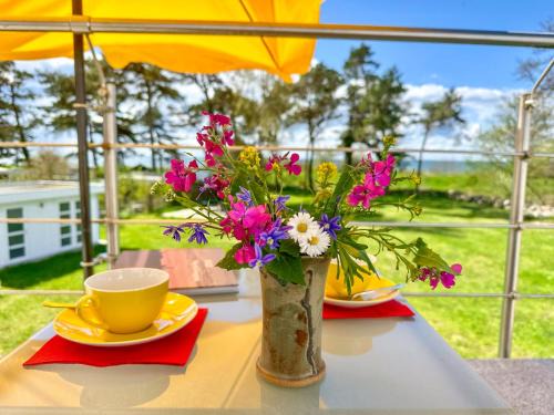 Thiessow Apartamento | Villa "Windflüchter"