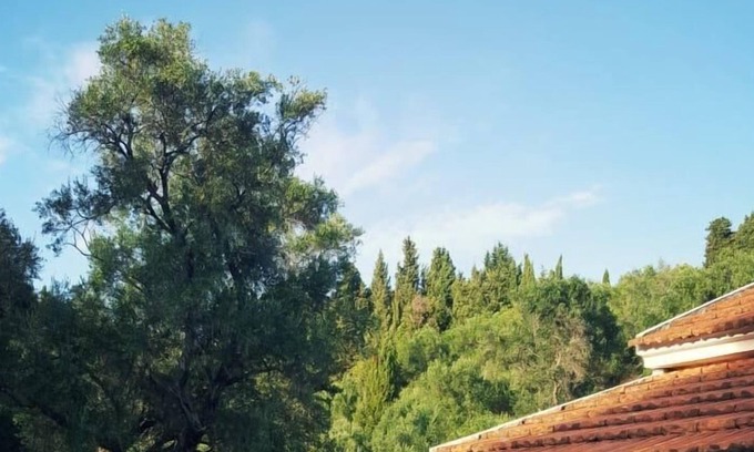 Afionas Villa | Villa con piscina privada Afionas Corfú