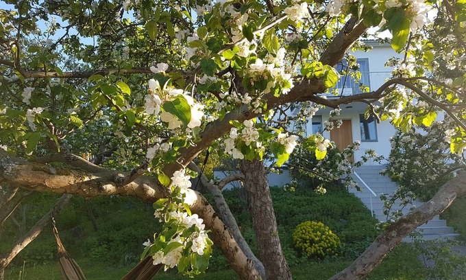 Nacka Municipality Casa | Villa with private garden 10 min from central Stockholm, 300 m from the sea