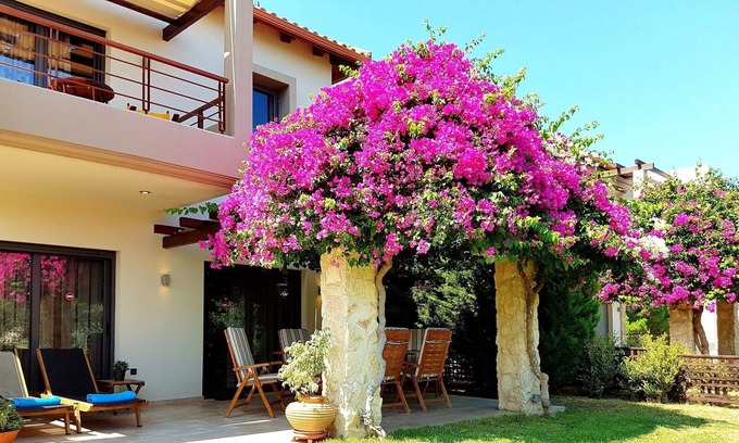Rio Villa | Villa Xenny (Propiedades de VC)