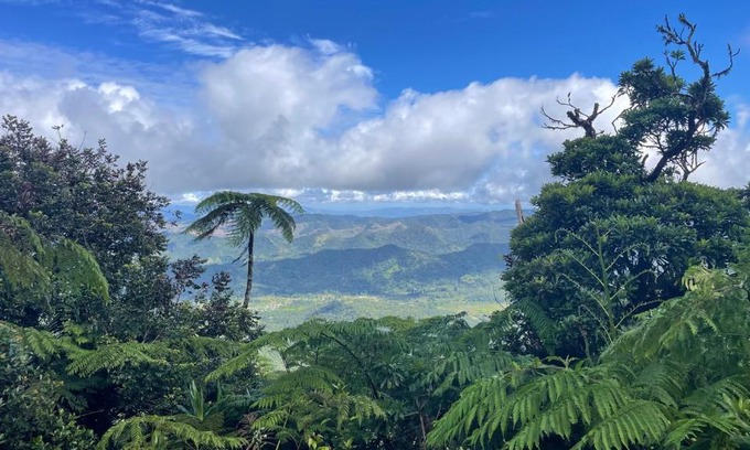 Korolevu Casa | Village Stay Fiji at Navai Village Fiji