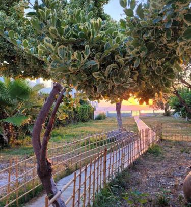 Nerantza Casa | VILLAMARE