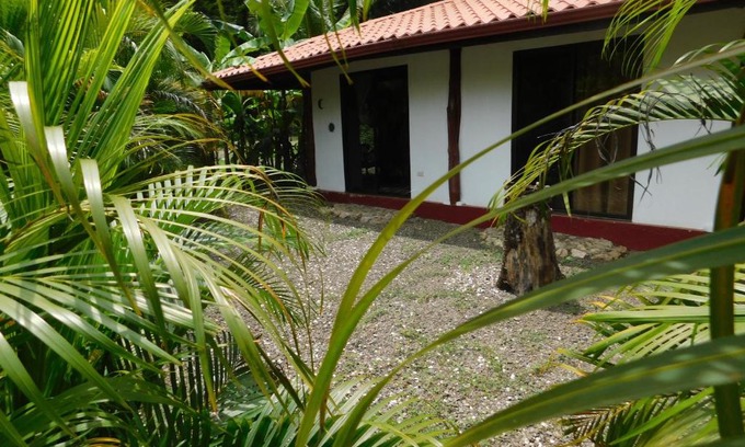Samara Casa | Villas jungle 5