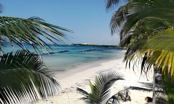 Puerto Aventuras Hotel | Villas Picalu Studios & Suites