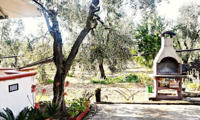 Montincello Casa | Villetta immersa nell'uliveto di famiglia