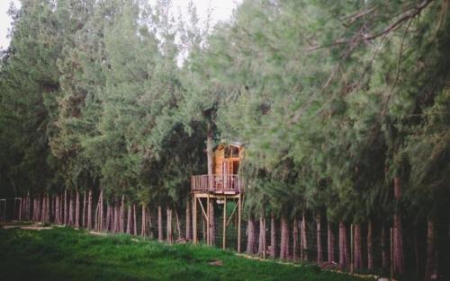 Tulbagh Casa | Vindoux Tree House Guest Farm & Spa