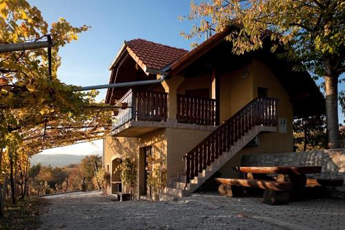 Drasici Casa | Vineyard Cottage Brodaric