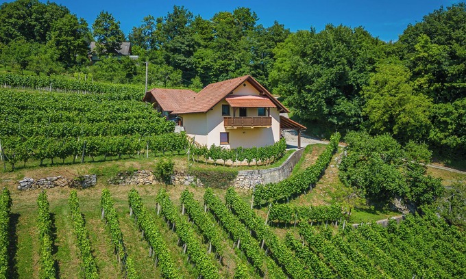 Srednje Grcevje Casa | Vineyard Cottage Ucman, Otočec, Slovenia
