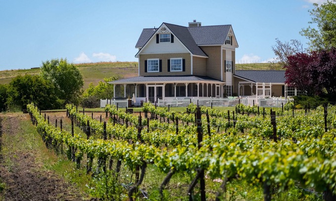 Templeton Casa | Vineyard Retreat in a Stunning Vineyard Setting and Views, Hot Tub, and More