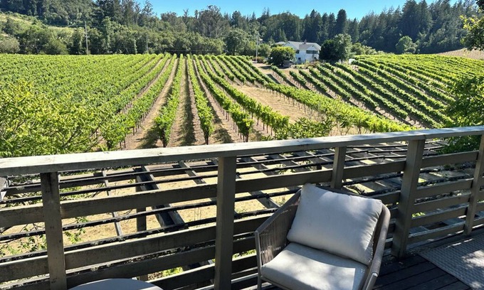 Forestville Apartamento | Vineyard View 2-bedroom 1 bath in Forestville, AC, WIFI, STUNNING VIEWS!