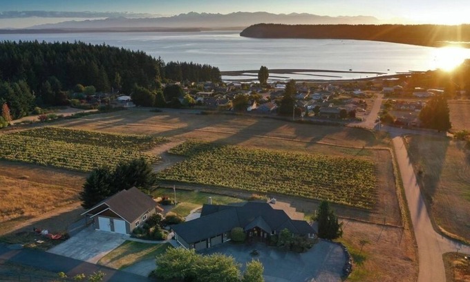 Clinton Villa | Vineyard Villa + Guesthouse/ Swim Spa +Hot tub With A/C