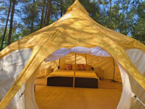 Asklipiio Otro | VinSan Glamping & Wellness Centre
