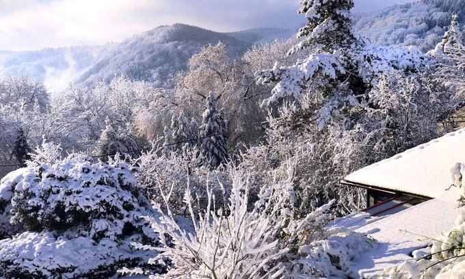 Aywaille Chalet De Esquí | Chalet Antiguo en Sougné-Remouchamps cerca del Bosque