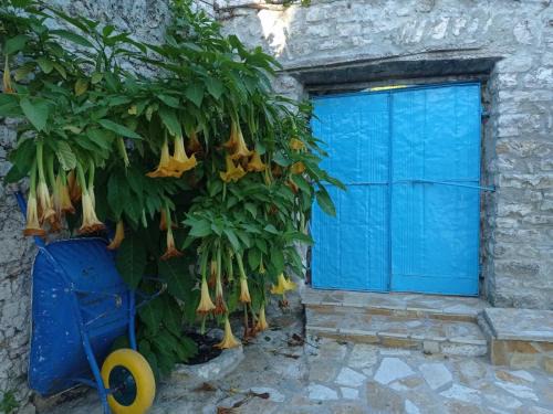 Vuno Casa | Vintage Mediterranean house