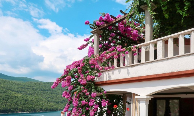 Duga Luka Apartamento | Violetta by Interhome