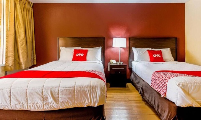 Moline Casa | Visit Center for Belgian Culture! 3 Posh Units, Pets are Allowed, Free Parking