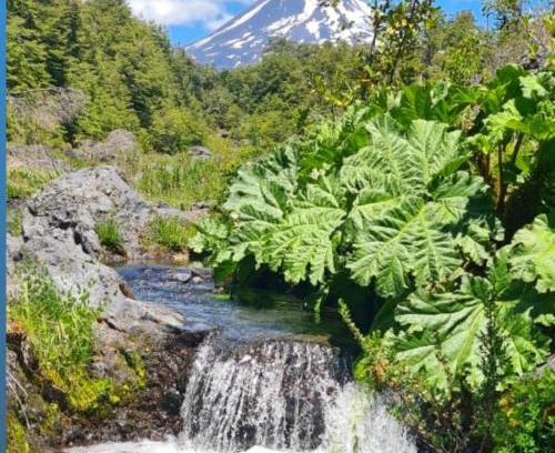 Curacautin Casa | Vista al volcán con tinaja y río en Conguillío