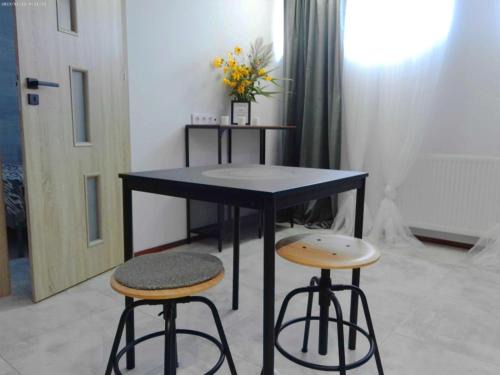 gmina Debe Wielkie Apartamento | Vista apartment 4