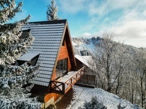 Lisina Chalet De Esquí | Vista Mountain House